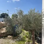 Daire Caputo Con Posto Auto E Giardino Immenso *