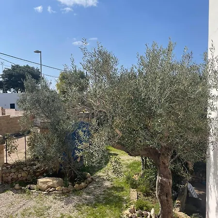아파트 Caputo Con Posto Auto E Giardino Immenso *