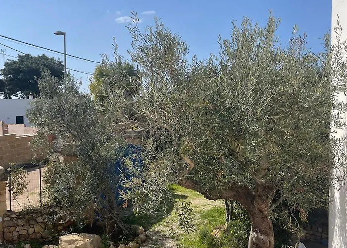 Apartment Caputo Con Posto Auto E Giardino Immenso *